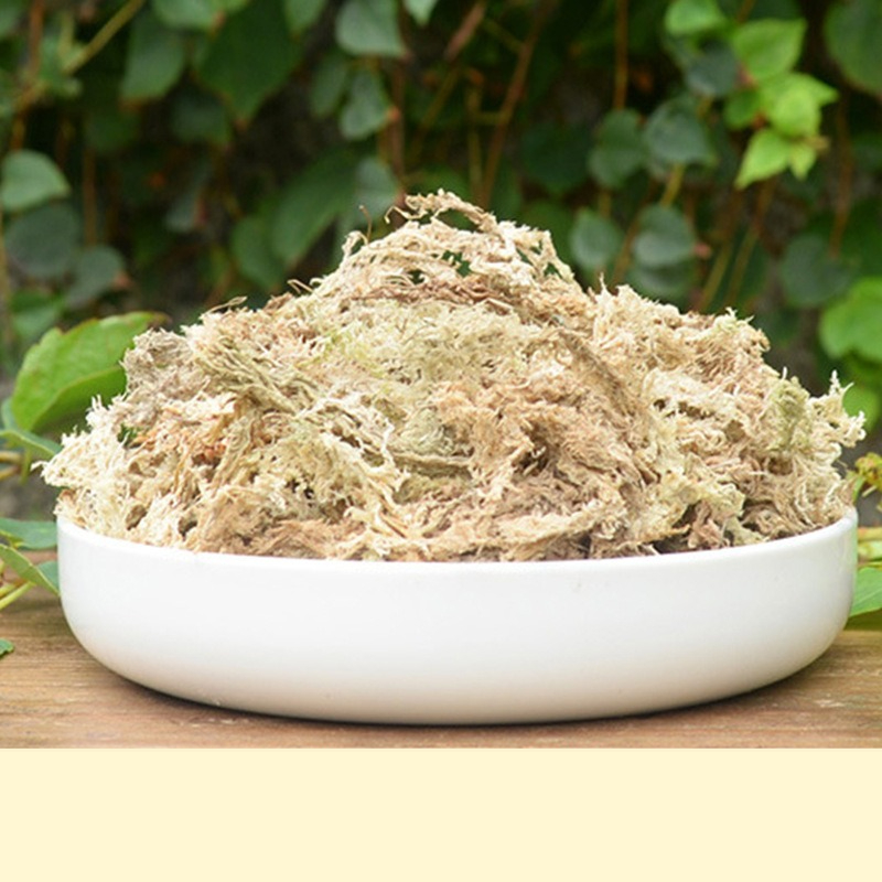 Sphagnum Moss Dry - Reptile Terrarium Sphagnum Moss Substrate Orchid
