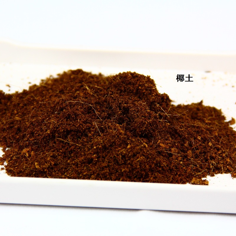 Coconut Soil Brick Reptile Sub - Sphagnum Moss Dry recension och pris