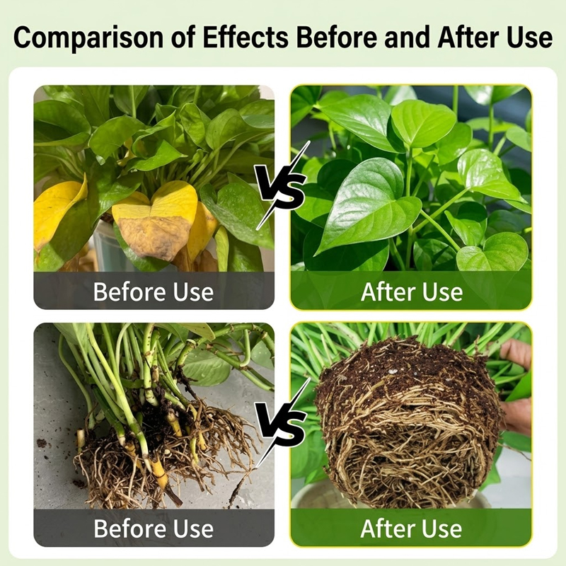 Plant Rooting Solution Rooting - Rooting Hormone Powder recension och pris