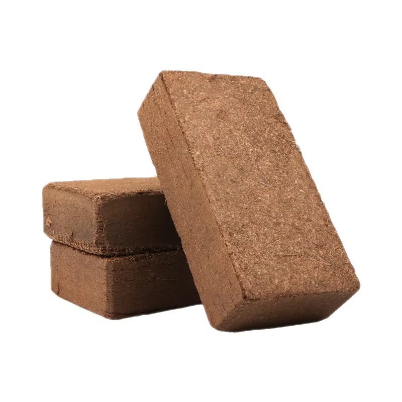 Reptile Bedding Compressed Coc - Sphagnum Moss Dry recension och pris