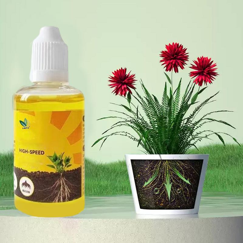 50ml Plant Root Stimulator Liq - Rooting Hormone Powder recension och pris