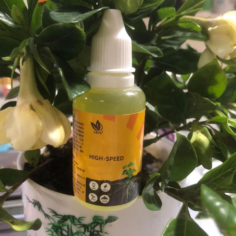 50ml Plant Root Stimulator Liq - Rooting Hormone Powder recension och pris