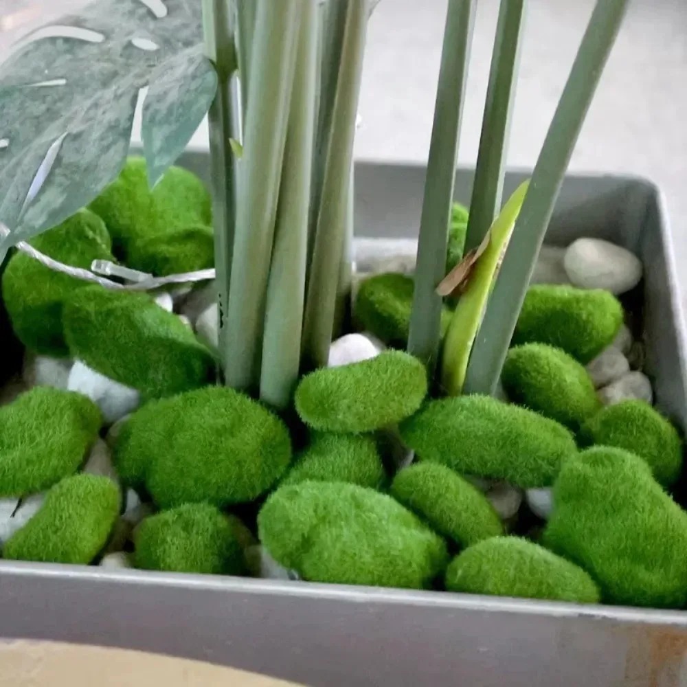 50/5PCS Artificial Moss Rock B - Sphagnum Moss Dry recension och pris